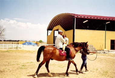 Equino terapia y c&aacute;rceles.