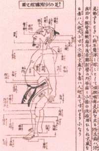 Medicina Tradicional China