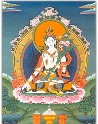 Buda de la Medicina